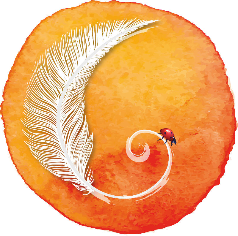 logo-plume-sans-texte-orange.jpg