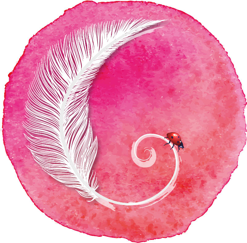 logo-plume-sans-texte-rose.jpg